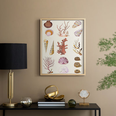Coral & Shell Collage II, reproduction encadrée - bois massif