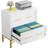31.49-Inches Modern White & Gold 2-Drawer Lateral File Cabinet