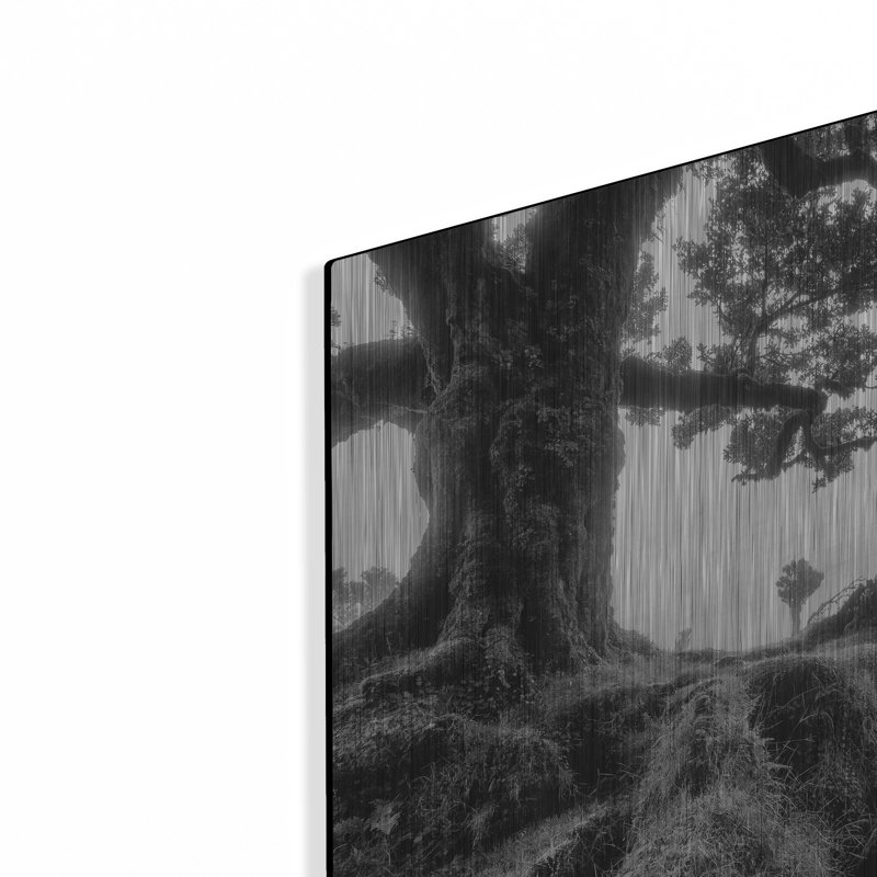 «Black & White Fanal» par Martin Podt, H 12 po x l 16 po