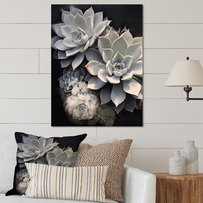 Succulent gris blanc résilience - impression sans cadre sur métal