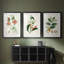 Turpin Tropical Botanicals IV - reproduction sur mesure encadrée de qualité supérieure - 3 pièces