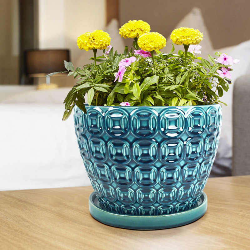 Pot Planter