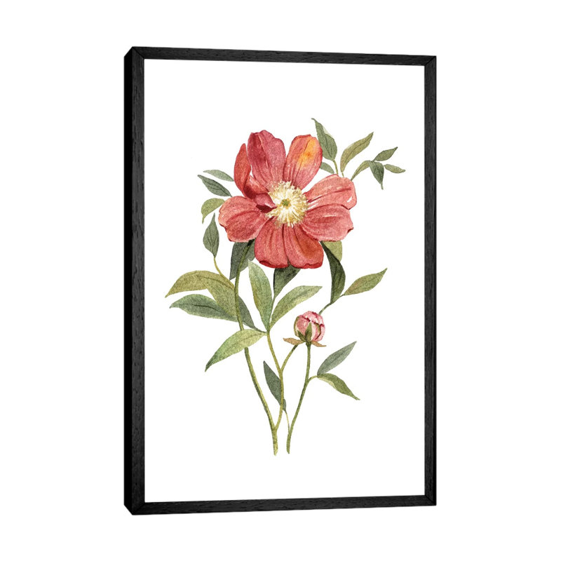 Scarlet Peony by Carol Robinson - Painting on Canvas, 152.5 cm H x 101.5 cm W, Black Framed