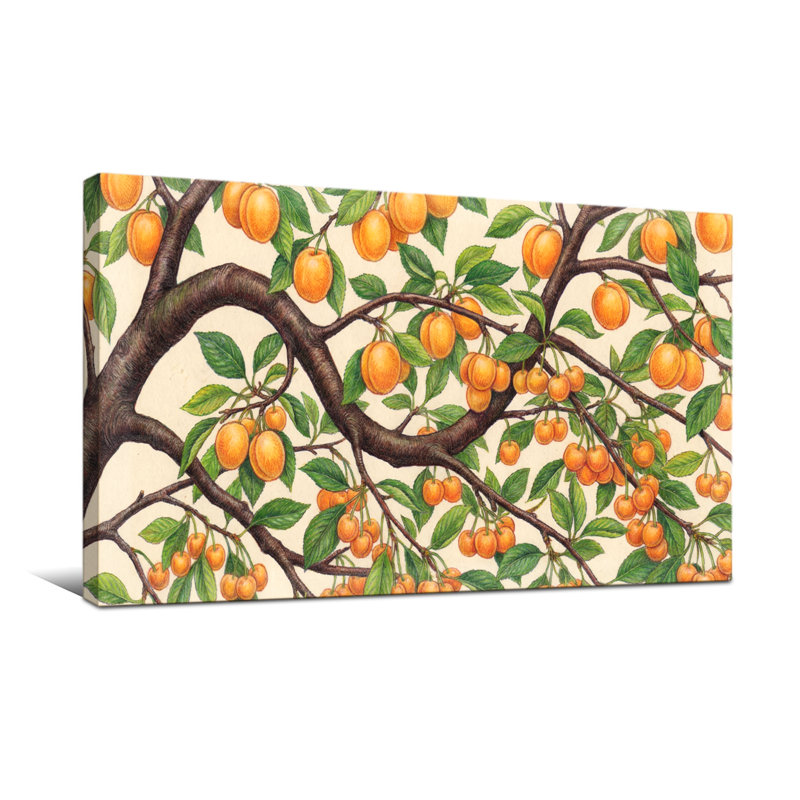 Plantes et fleurs branches d'arbres avec fruits et feuilles, H 24 po x l 48 po