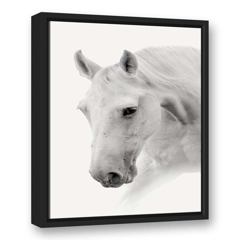 Cheval noir et blanc, reproduction sur toile, H 21,75 po x l 17,75 po
