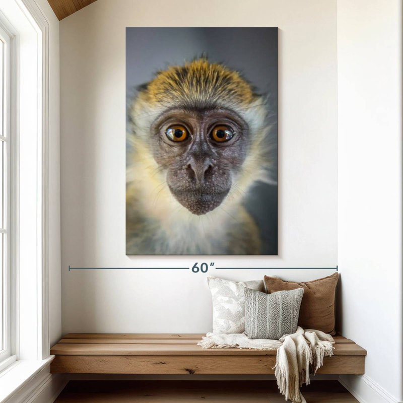 Brampt Vervet Monkey, 51" H x 34" W