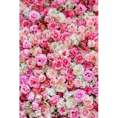Roses Roses - photographie sur toile tendue
