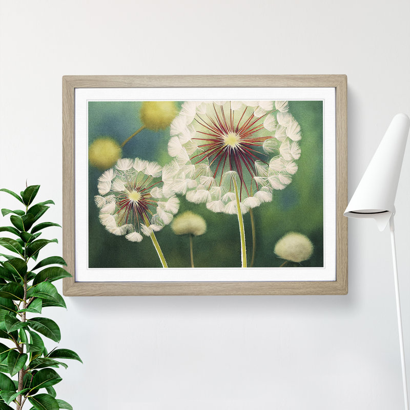 Glowing Dandelion Flowers - Single Picture Frame Print