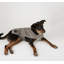 Couverture en polyester AQUA brodé PAW-57762342-57762341