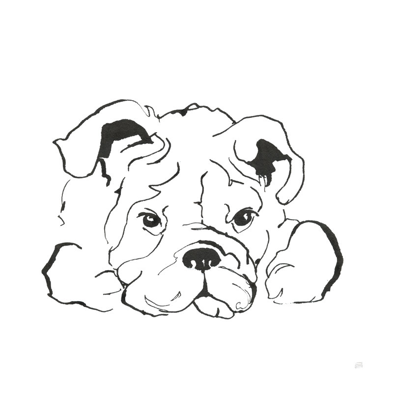 «Line Dog Bulldog II» par Chris Paschke, reproduction d'art sur toile tendue, H 20 po x l 20 po