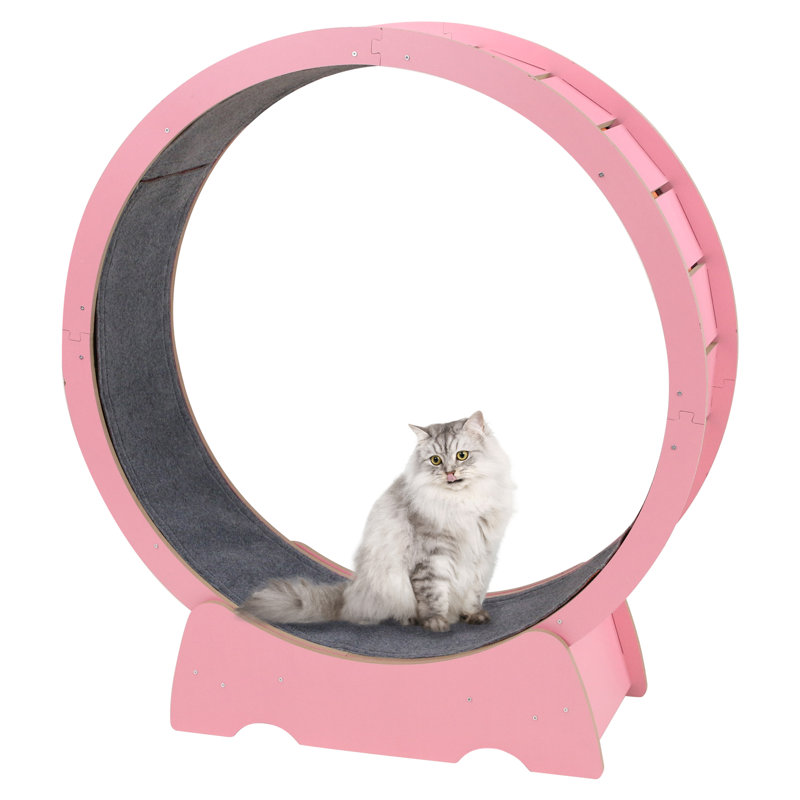 Denora 45'' Large Cat Running Wheel Treadmill, Pink