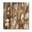 Sepia Print by DecorumBY-50527548-50527550