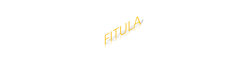 Logo FITULA