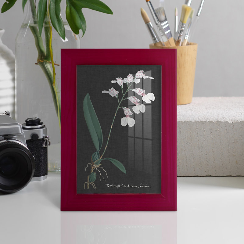 Orchidée sur ardoise VI - impression d'un seul cadre photo, Rouge, H 9 po x l 7 po x P 1 po