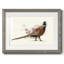 Pheasant Splash 2 - reproduction de cadre photo simple-391780983-391780985