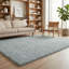 Ainsley Plain Living Room Shaggy Area Rug Modern Soft Pile Polyester Rug-1957084375-1957069027