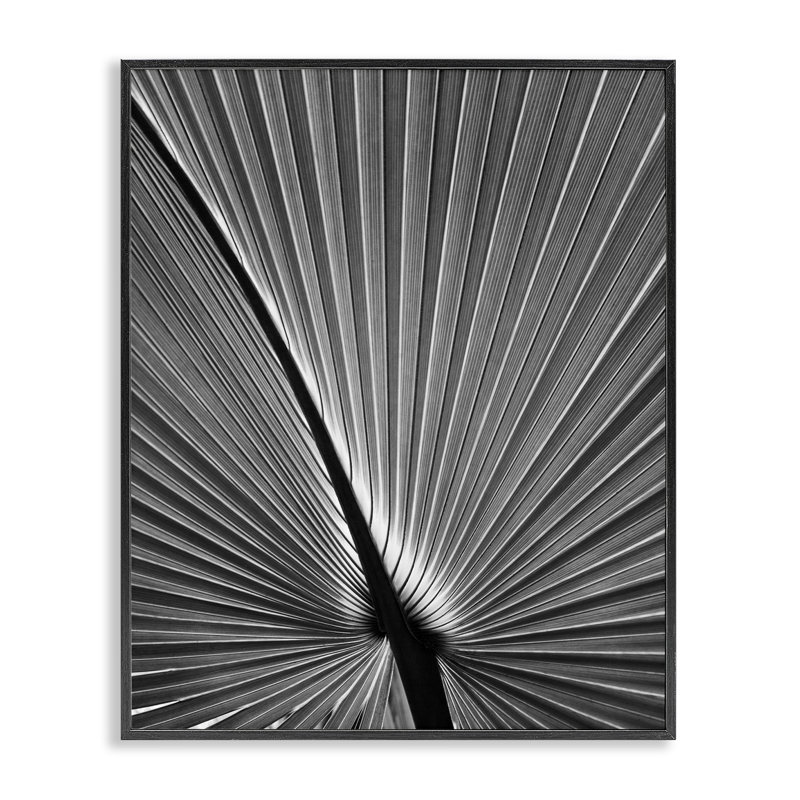 «Palm Frond», art par Chip Forelli bg-127, H 20 po x l 16 po, Giclée encadrée noir minuit