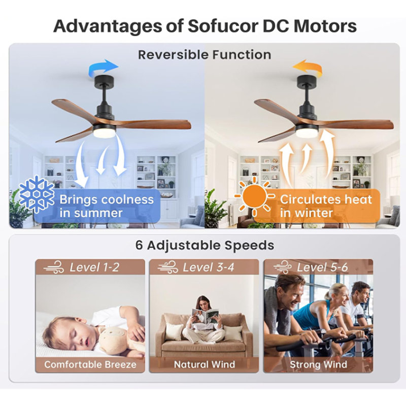 Ventilateurs de plafond Mount