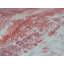 Antolini Abstract Area Rug-29004936