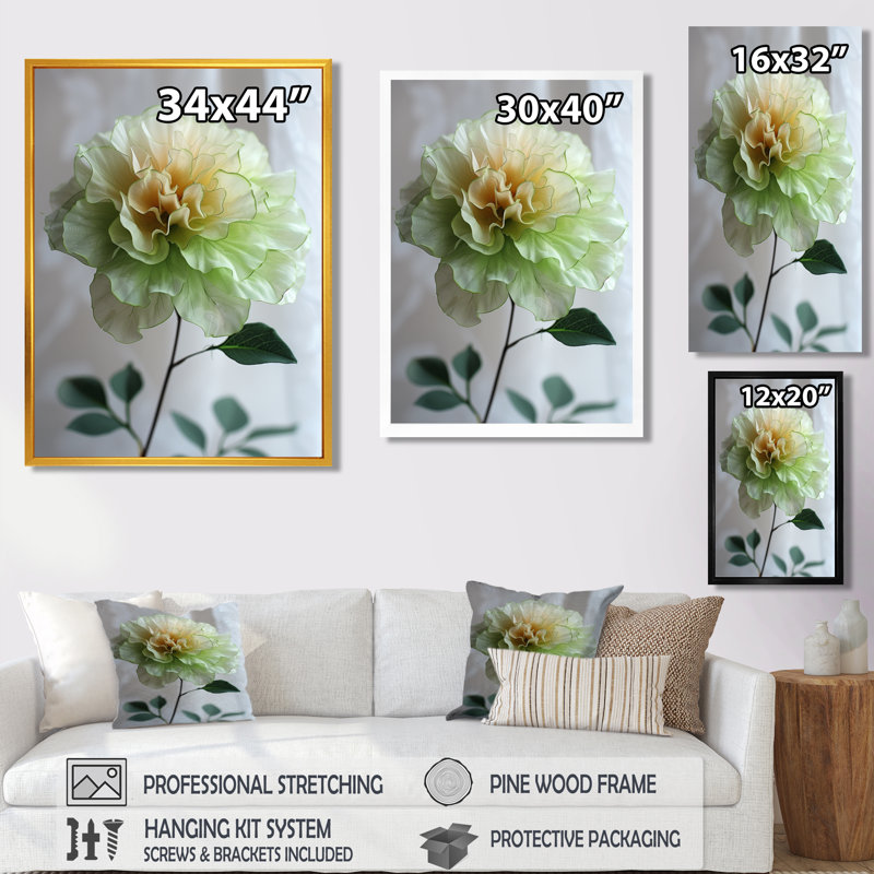 Blanc, blanc, jardin, glamour, souci, photo, souci, art mural, salon, Cadre argenté flottant, bois massif, H 12 po x l 20 po