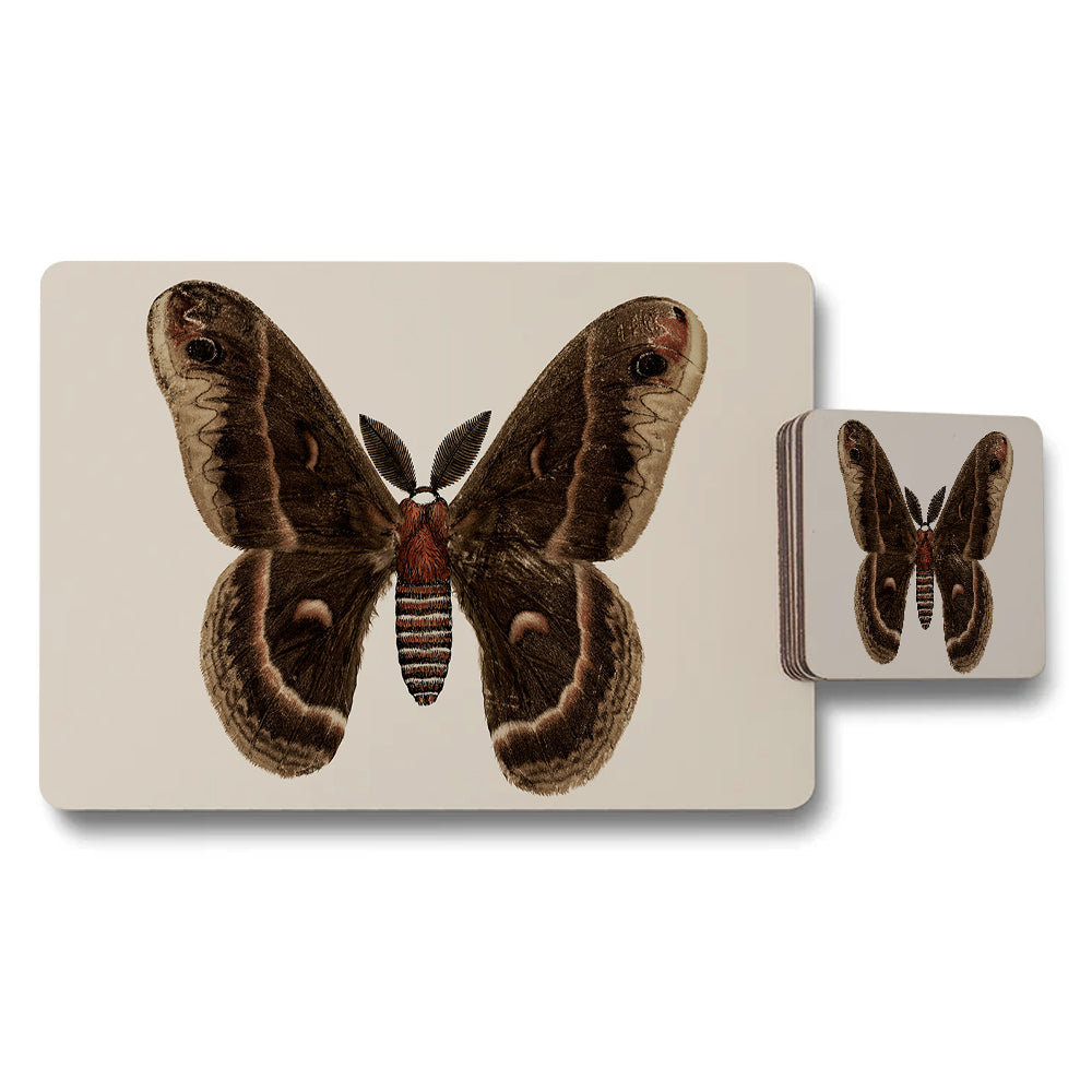 Moth Themed Placemat And Coaster Set Featuring Large Brown Wings