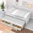 Badi Kids Twin with Trundle with Drawers-771193080