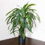 Artificial Foliage Plant in Pot Liner-124076062