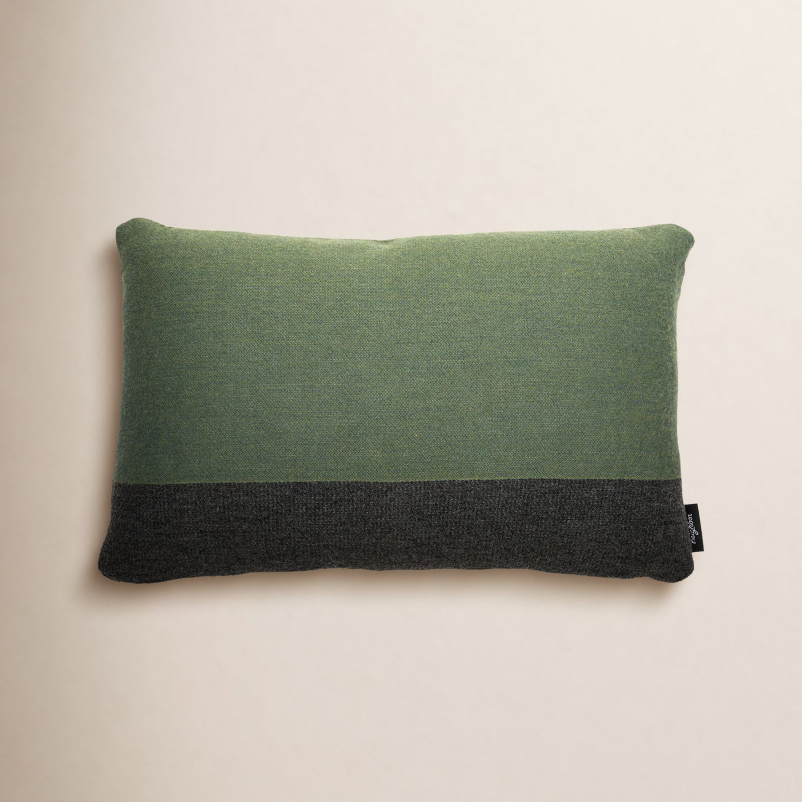 Horizon 24 " x 16 " Sunbrella® Pillow Cover & Insert, Forest