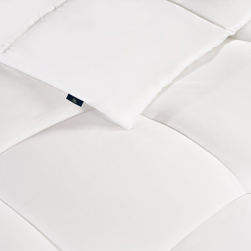 All Season Down & Feather Blend Comforter, Twin, White