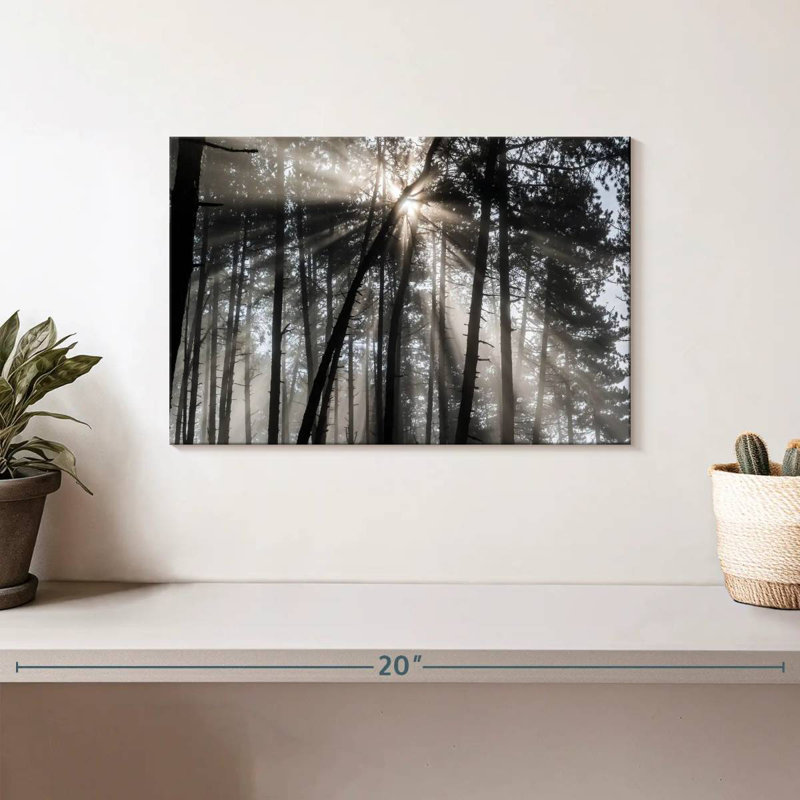Rayon de soleil Alvord Forest, H 8 po x l 12 po