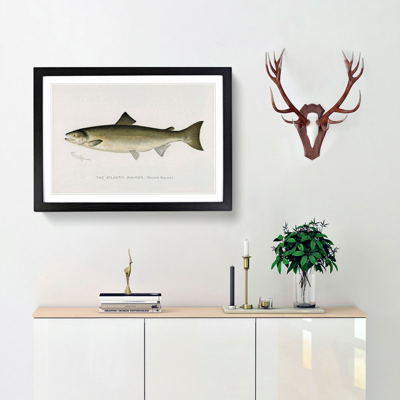 Atlantic Salmon by Sherman F. Denton - Framed Print, 45cm H x 63cm W x 2cm D, Black Framed