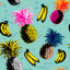 Blue/Black/Pink/Yellow