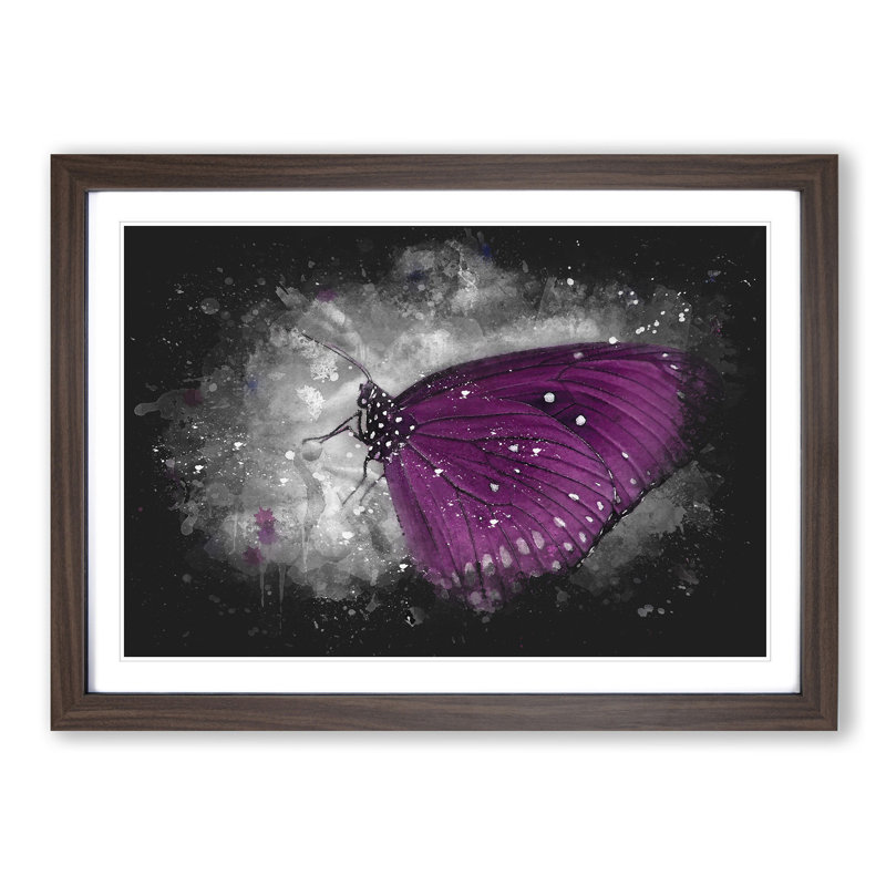 Butterfly upon a Flower - Framed Print, 24cm H x 33cm W x 2cm D, Walnut Framed