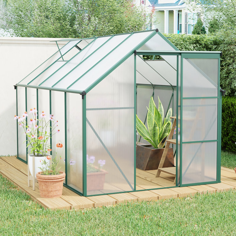 Serre en polycarbonate surélevée 6X10FT