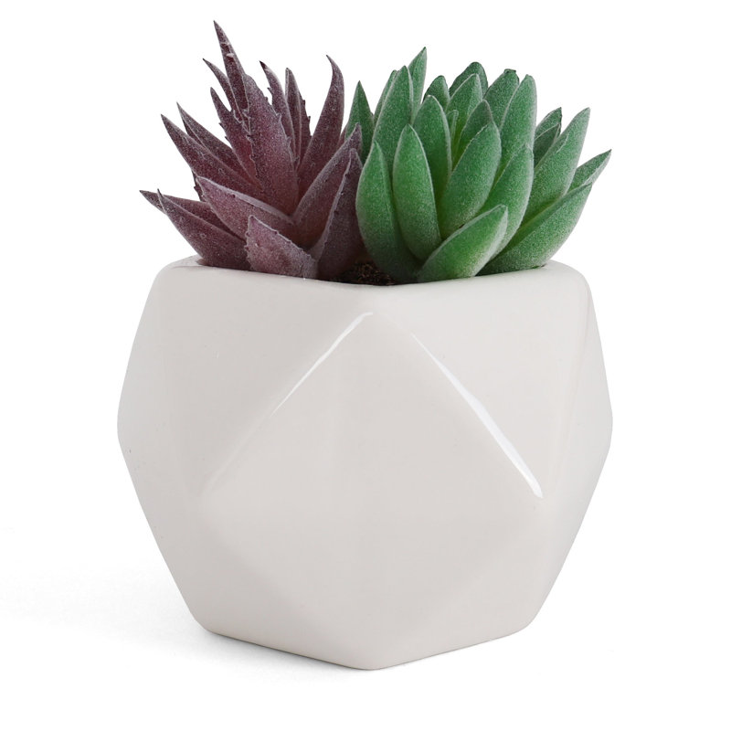 4.25'' Faux Succulent in Ceramic Planter