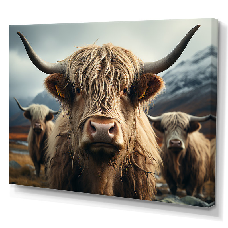 Majestic Highlands Yaks sur toile, Toile tendue, H 24 po x l 32 po x P 1 po