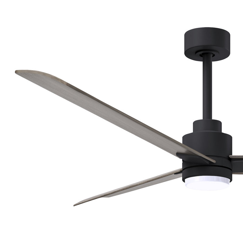 Alessandra - Three Blade Transitional Ceiling Fan -LED, Gray Ash Tone, 56", Matte Black