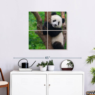 Brampt Adorable Panda