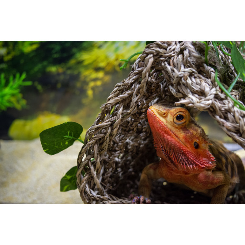 Reptology Lizard Lounger Hanging Hideout with Vines