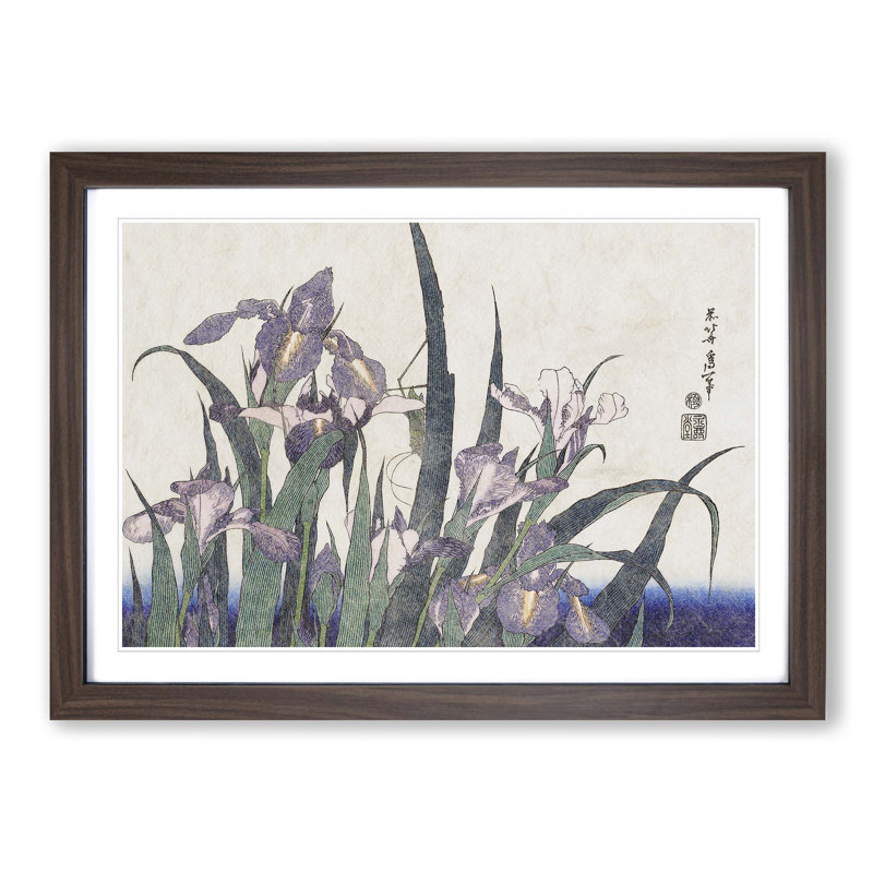 Irises by Katsushika Hokusai - Framed Print, 36cm H x 48cm W x 2cm D, Walnut Framed