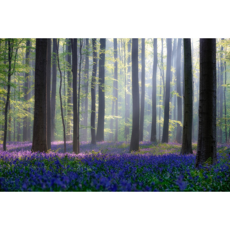 Wrapped Canvas Print, 76.2 cm H x 50.8 cm W