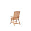Saguenay Folding Patio Dining Armchair with Cushion