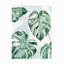 Toile d'extérieur Grace Popp «Split Leaf I»-87945337