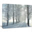 Landscape Winter Trees Backlit Morning Sun Canvas Photograph - Winter Trees-58546601