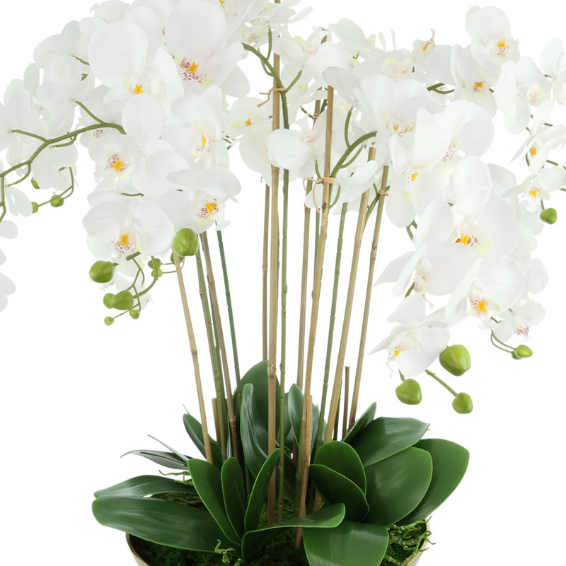 Orchid Arrangement in Round Metal Vase