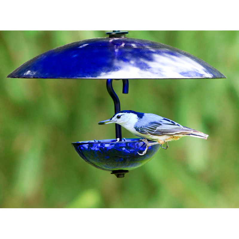 Hanging Decorative Bird Feeder, Lime Green