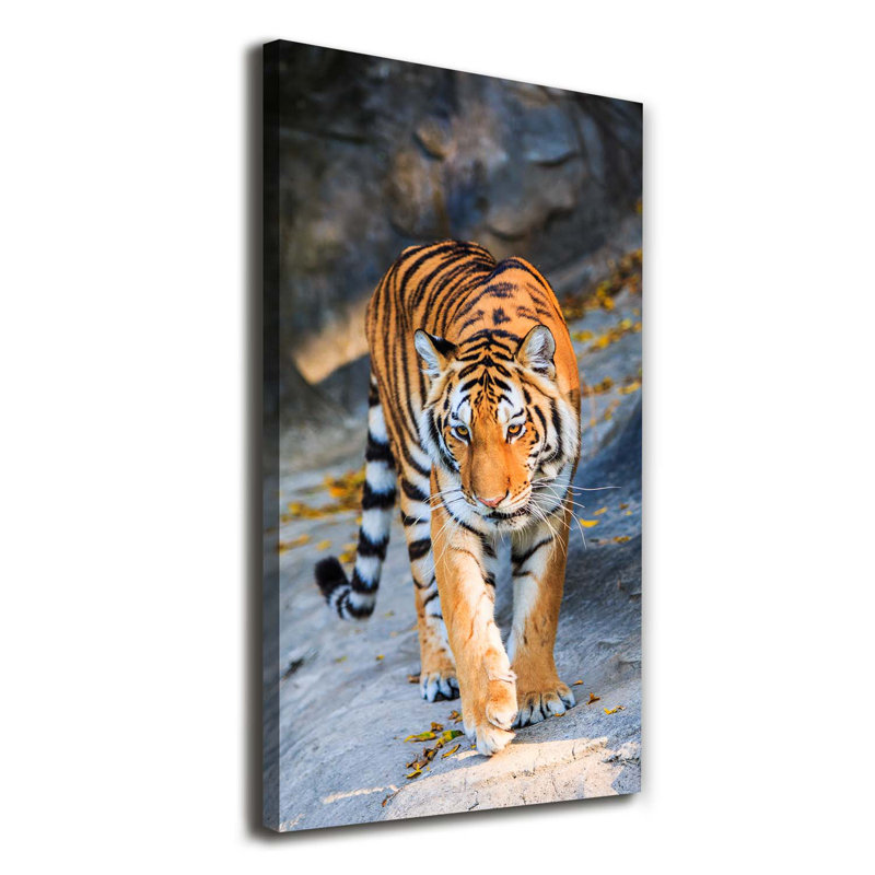 Tiger - Wrapped Canvas Print
