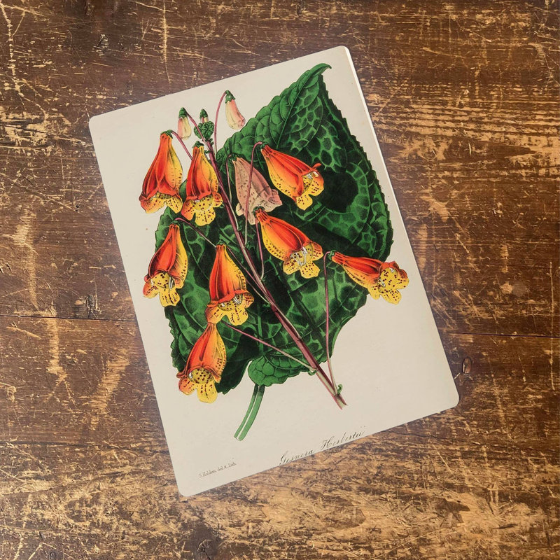 No Frame Print on Metal, 25cm H x 20cm W