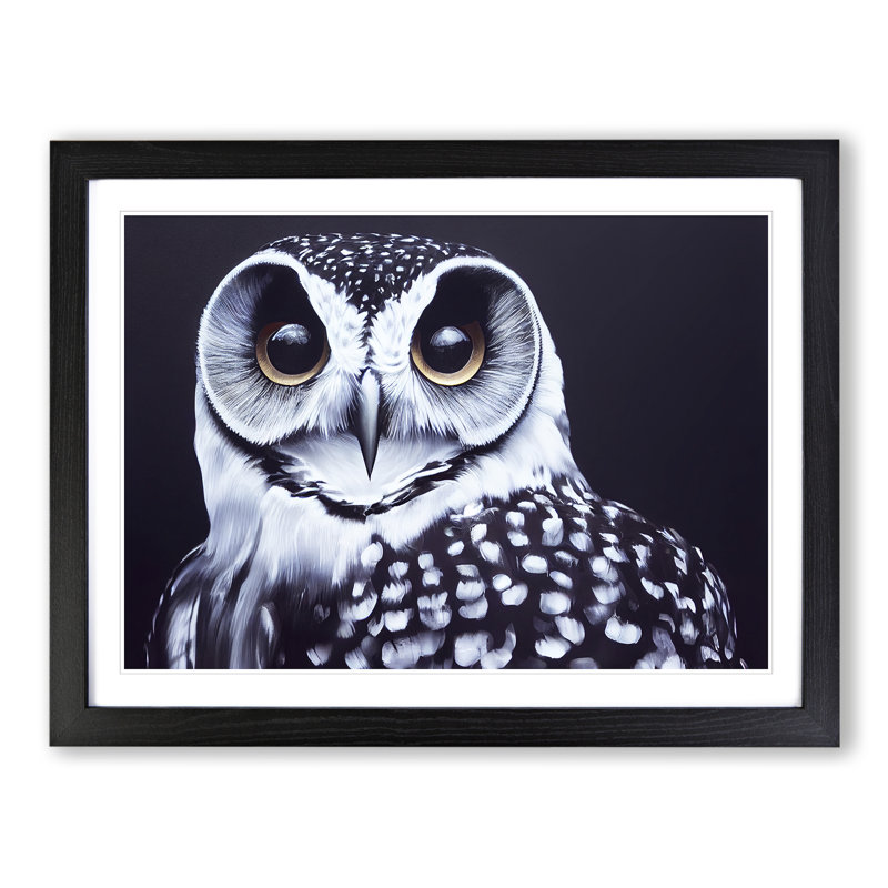 An Enigmatic Owl - Framed Print, Black, 25cm H x 34cm W x 2cm D