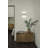 Encore LED Flush Mounted Sconce-20087845